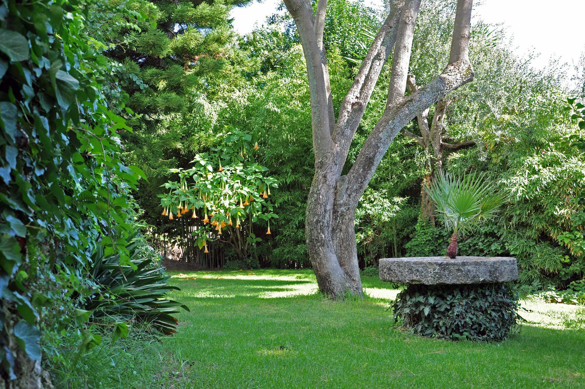 Villa Domenicale Ágios Márkos Zewnętrze zdjęcie